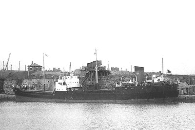 ouraniotoxo 080975 x6.jpg