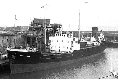 ouraniotoxo 080975 x8.jpg