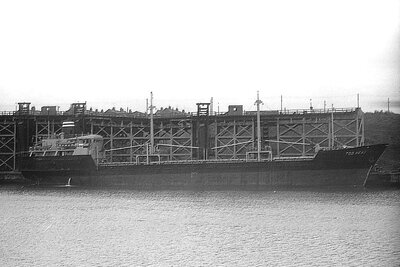 tod head 080975 x1.jpg