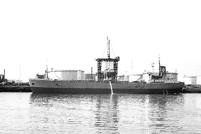 orionman 150975 x2.jpg