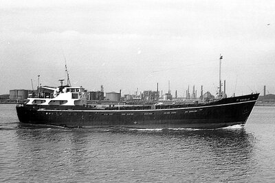 oriole 160975.jpg