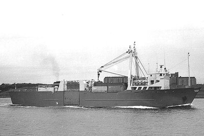 lynx 080975 x1.jpg