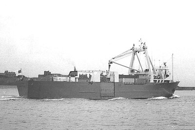 lynx 080975 x3.jpg
