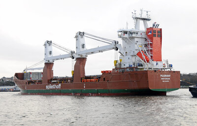 Pijlgracht stern .jpg