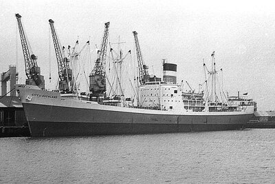 city of auckland 231175 x2.jpg