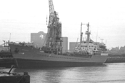 nyandoma 231175 x1.jpg