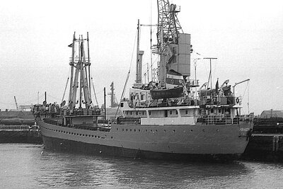 nyandoma 231175 x2.jpg