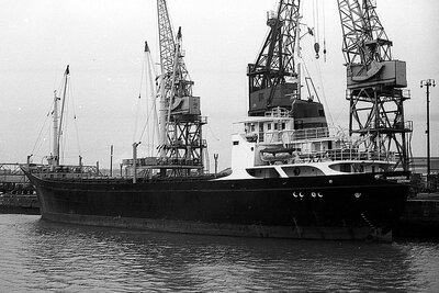 manchester trader 231175 x2.jpg