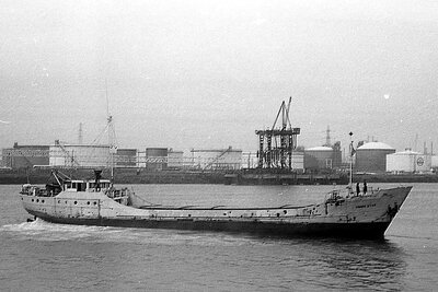 union star 231175 x3.jpg