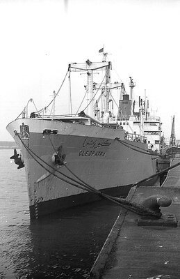 cleopatra 231175.jpg