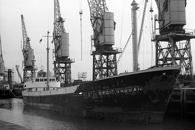 birgit sabban 040376.jpg