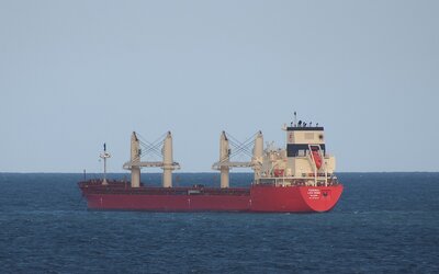 Federal Lexi Rose-1.jpg