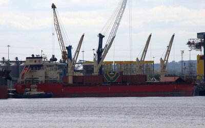 Federal Lexi Rose-2.jpg