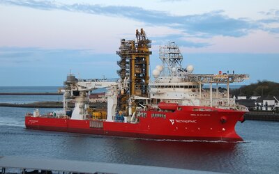 Coral do Atlantico-2.jpg