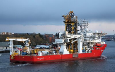 Coral do Atlantico-3.jpg