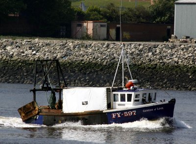 Genesis of Looe (2) (24.05.12).jpg