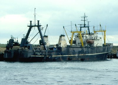 CRISUL ALB   28-9-1994.jpg