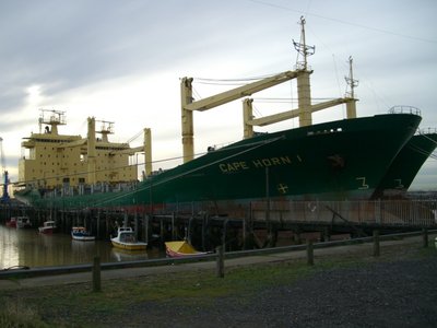 Cape Horn I p1.JPG