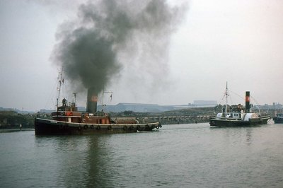 CERVIA-HERO 040376a.jpg