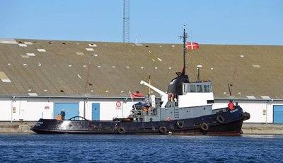 DSC_04492[1].jpg