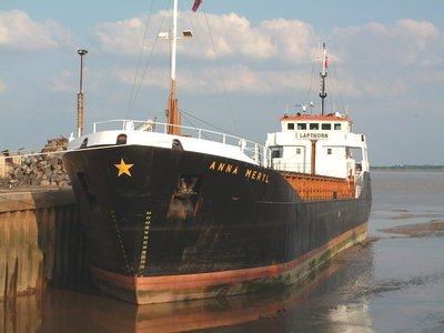 ANNA MERYL(E).jpg
