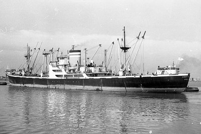 andrianai160975x2.jpg