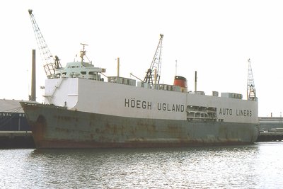 AKARITA 180777.jpg