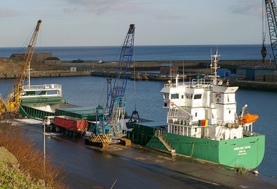 ARKLOW FAME 280108c.jpg