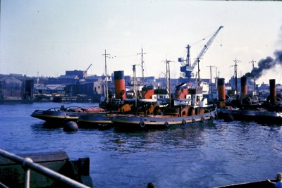 Tyne tugs.jpg