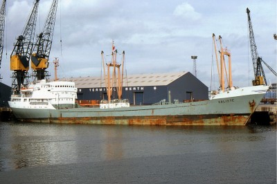 SALISTE 191081a.jpg