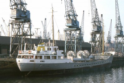 LIBRA 0376a.jpg