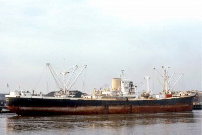 PARNASSOS 0476a.jpg