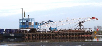 tmsmaverick281209.jpg