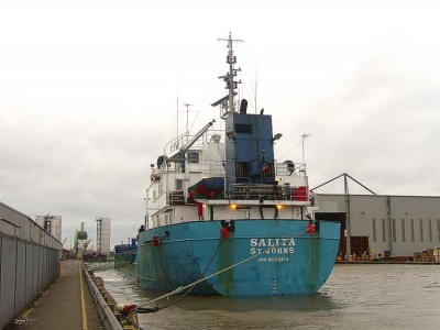 salita281207x2edit.jpg