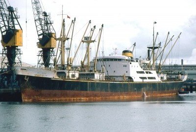 JALAGIRIJA 060481a.jpg