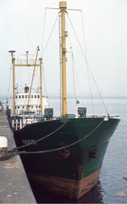 MALENTE 220976.jpg