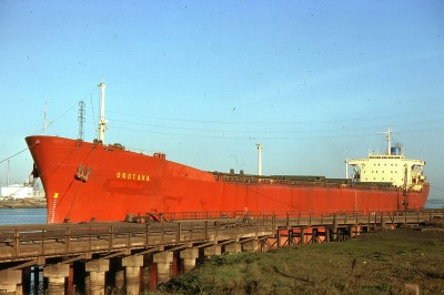 OROTAVA 271176a.jpg