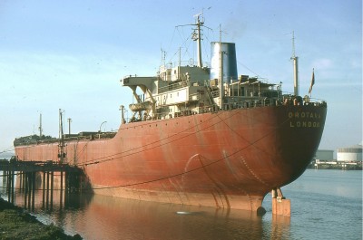 OROTAVA 271176b.jpg