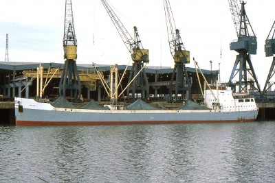 TOLMI 241176a.jpg