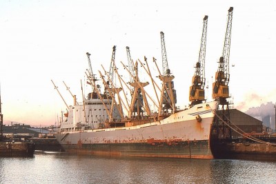 FINIX 011276a.jpg