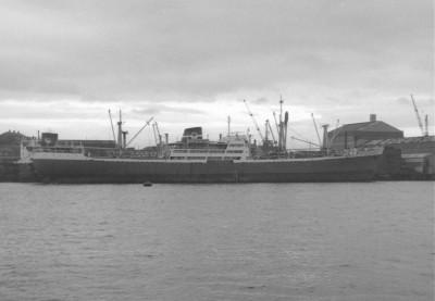 LOBITO PALM   1970s.jpg