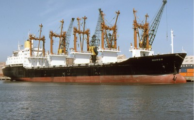 MARON 120580a.jpg