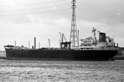 daphne230981.jpg