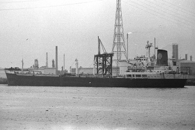daphne151181.jpg