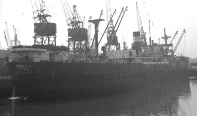 pella250463.jpg