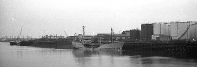 odabo111179full.jpg