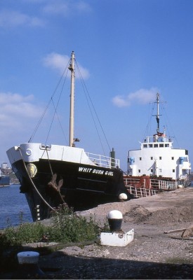 WHITBURN GIRL 160788c.jpg