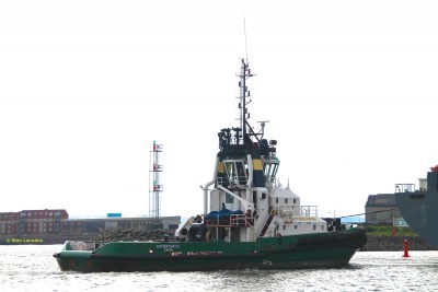 Svitzer Castle.JPG