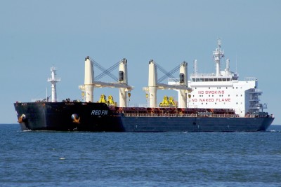 RED FIN 100613b.JPG