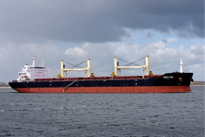 RED FIN 150613c.JPG